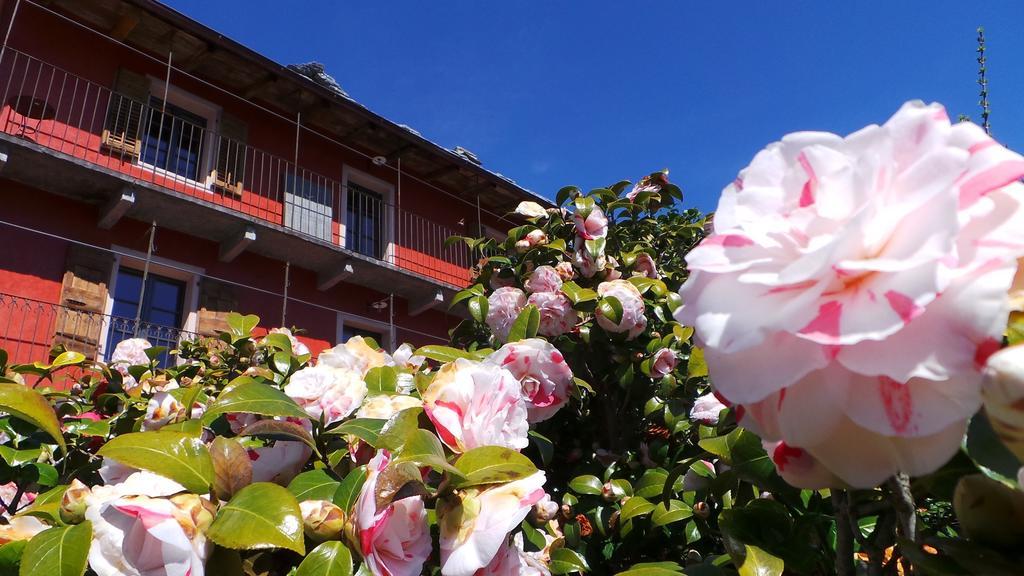 Case Di Sotto, House & Breakfast Muralto Ngoại thất bức ảnh